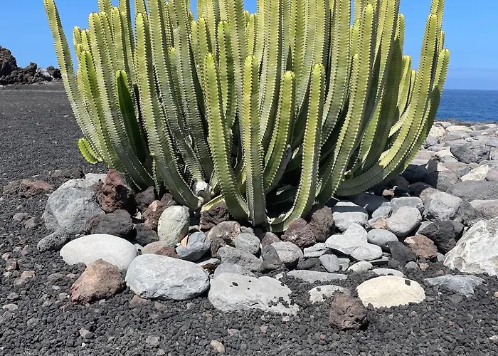 Basalto House Flat Tenerife South Сasa de vacaciones *