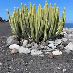 Basalto House Flat Tenerife South Ferienhaus *