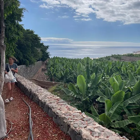 Basalto House Flat Tenerife South Tejina de Isora
