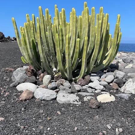Basalto House Flat Tenerife South 펜션 *