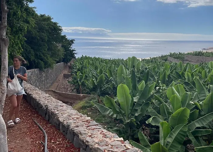 Basalto House Flat Tenerife South Tejina de Isora