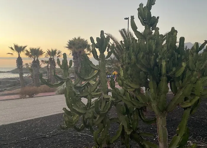 Basalto House Flat Tenerife South Dom wakacyjny Tejina de Isora