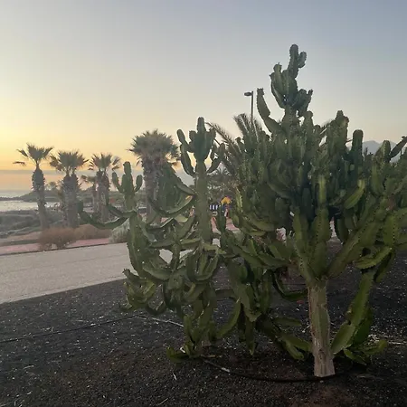 Basalto House Flat Tenerife South Σπίτι διακοπών Tejina de Isora